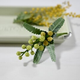布花　春の訪れを告げるつぼみのグリーンミモザのブローチ