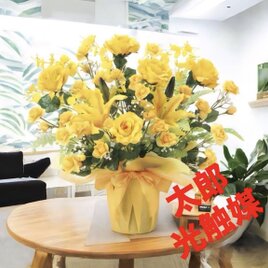 光触媒　人工観葉植物　ウォールグリーン　フェイクグリーン　ゴールデンゲート