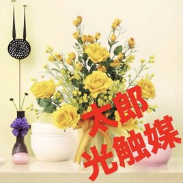 光触媒　人工観葉植物　ウォールグリーン　フェイクグリーン　リュミエール