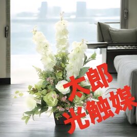 光触媒　人工観葉植物　ウォールグリーン　フェイクグリーン　ホワイトライン