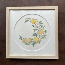 原画『蜜柑月』