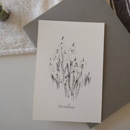 postcard　/　スノードロップ（2枚組）
