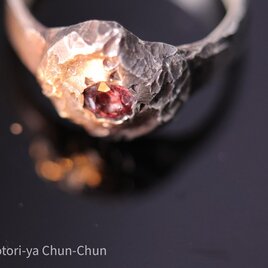 【小鳥屋評価5/5！！！】チャンタブリーで出会った「神」C.C.ガーネット・シードルリング【勇者の古盾】