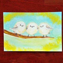 三兄弟のシマエナガ