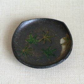 四方皿（青もみじ金彩e）