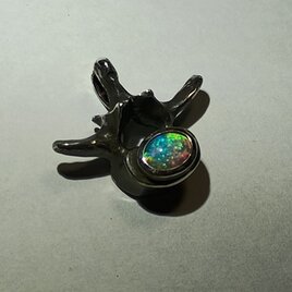 あなたの脊椎がオパールになる頃 私はどこにいるでしょう