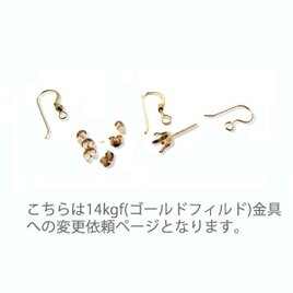 14kgf(ゴールドフィルド)金具変更依頼ページ