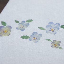 のし袋　ビオラ