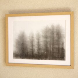 forest13（額縁付き）