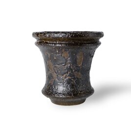 パルバコステリッチオ / M / 黒鰐（鉢・プランター）