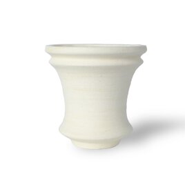 パルバコステリッチオ / M / 結晶石（鉢・プランター）