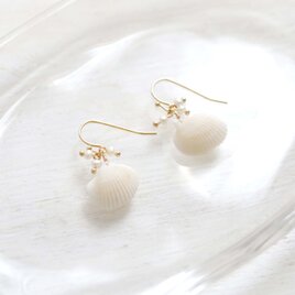 白い貝殻と淡水パールの耳飾り