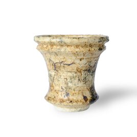 パルバコステリッチオ / M / 亀裂層（鉢・プランター）