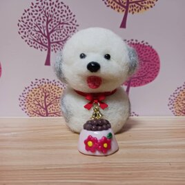 小さな瞳にプクプクの可愛いワンちゃん　羊毛