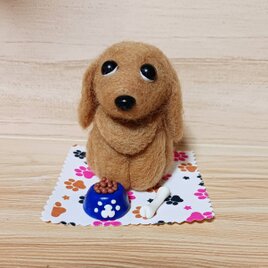 羊毛フェルト 上目使いの可愛い！クリームダックス 手のひらサイズ　餌付き