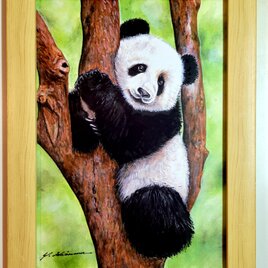 木登りパンダ