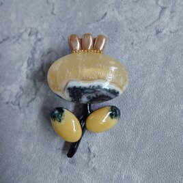 小さなお姫様【ゼブラカルサイト】のお花