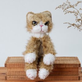 癒されネコのあみぐるみ<MINIサイズ>小さな怒りん坊フィアくん