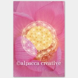 蓮とフラワーオブライフ【神聖幾何学ポストカード】(2枚セット)