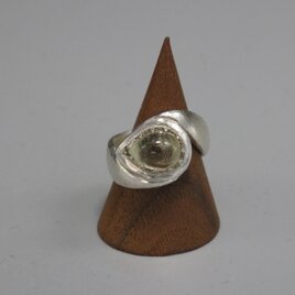 愛らしいしずく