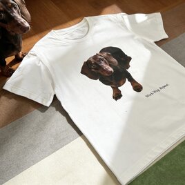 余白のある暮らしのためのTシャツ｜Work. Wag. Repeat.