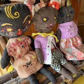 ドラ猫ちゃん三姉妹