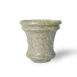 パルバコステリッチオ / M / 亀裂天緑（鉢・プランター）