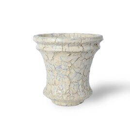 パルバコステリッチオ / M / 亀裂白層（鉢・プランター）