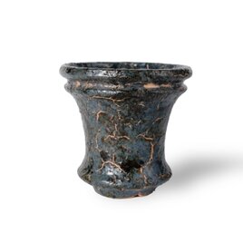 パルバコステリッチオ / M / 亀裂黒岩（鉢・プランター）