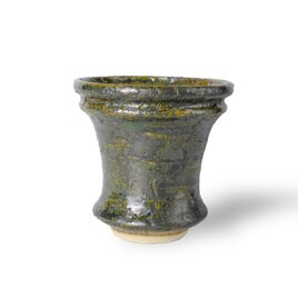 パルバコステリッチオ / M / 亀裂碧層（鉢・プランター）