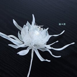 ﾟ･*:.｡. 月下美人 オーロラ .｡.:*･ﾟ 虹 しゃぼん玉 オーロラ 和装 Flower ドレス 結婚式 ウエディング