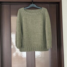 ふんわり袖のプルオーバー  (送料込み)