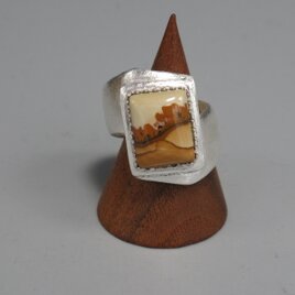 心和むのどかな山里