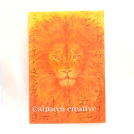 ライオン【ポストカード】（2枚セット）