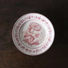 Creil クレイユ 平皿 植物柄 20.5cm フランス アンティーク b 0502341