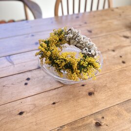 ミモザとラムズイヤー