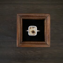 デンドリティククオーツのRing