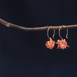 枝珊瑚のピアス（K14gf）