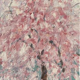 桜咲く(油絵、原画、0号、キャンバス、額なし)
