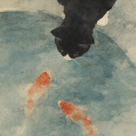 猫と鯉