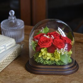 プリザーブドフラワー　オーバル型ガラス　リオラ　赤いバラ　5輪　アレンジメント　ギフト　誕生日　記念日　お祝い　還暦祝い