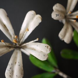 白ゆりのメタルフック  ウォールフック　ヴィンテージイタリア