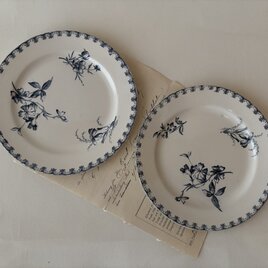 【2枚set】Sarreguemines / サルグミンヌ　 VEGA（ベガ）　デザートプレート