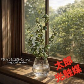 光触媒　人工観葉植物　ウォールグリーン　フェイクグリーン　マジカルウォーター