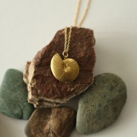 アンモナイトのネックレス