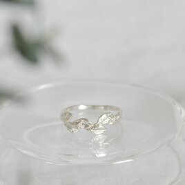 小さなみかんの葉っぱリング・SV