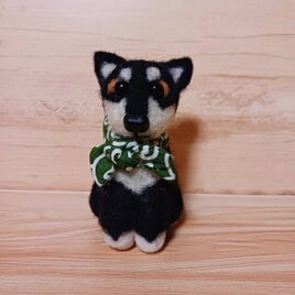 ハンドメイド 羊毛フェルト 柴犬 マスコット 黒柴 唐草模様スカーフ付き