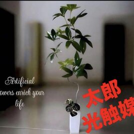 光触媒　人工観葉植物　ウォールグリーン　フェイクグリーン　ニューパキラ花器付き