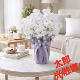 光触媒　人工観葉植物　ウォールグリーン　フェイクグリーン　胡蝶蘭　藤5本立