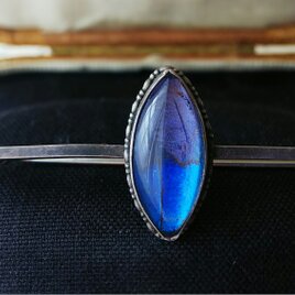 アンティーク　モルフォ蝶のブローチ／Silver925製　Bar55㎝